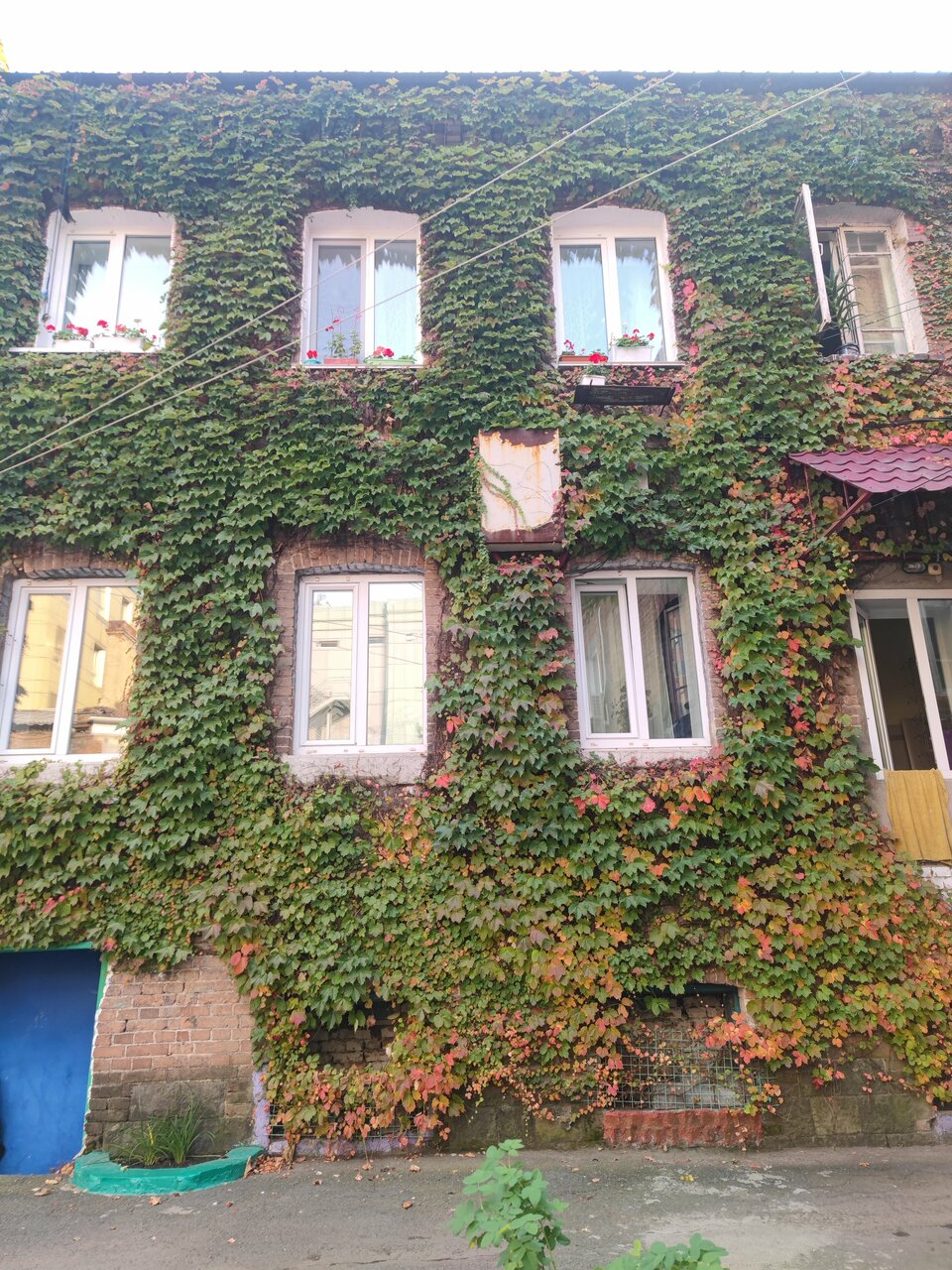 Гостиница Мирабель Владивосток-31